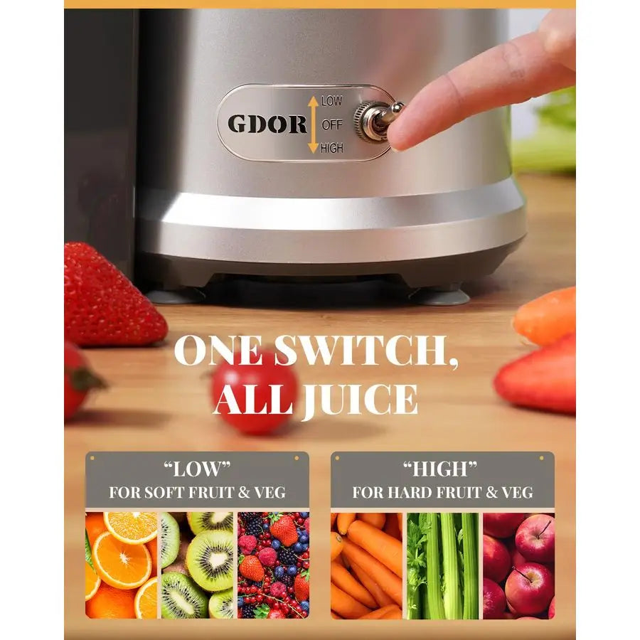 XMSJ 1200W Juicer, Heavy Duty Copper Motor, Dual Speed