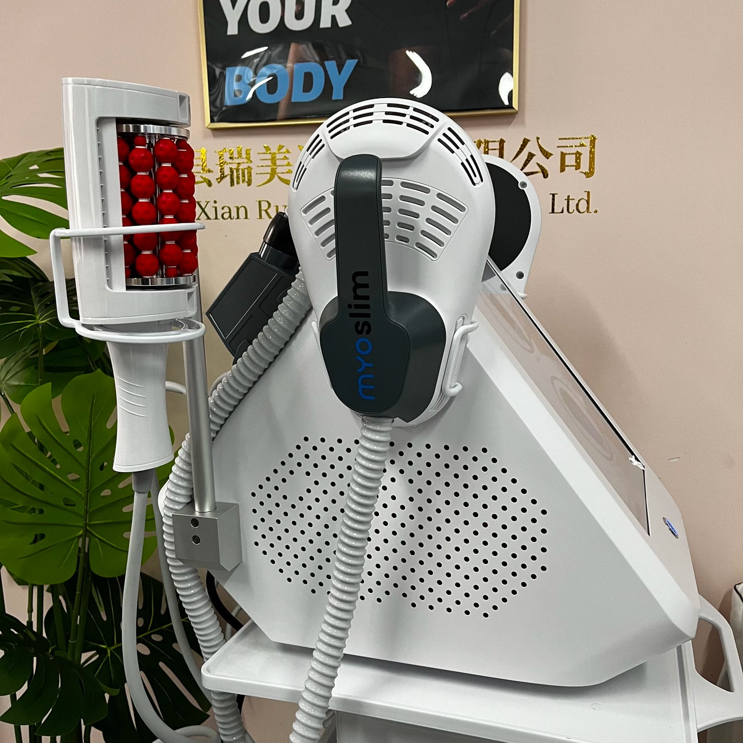 MYOSLIM 360 Degree Vacuum Massage Roller For Fat Burning And Body Slimming